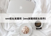 seo优化关键词（seo关键词优化软件）