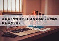 小程序开发软件怎么打开控制面板（小程序开发管理怎么弄）