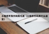 小程序开发代码有几兆（小程序代码用什么语言）