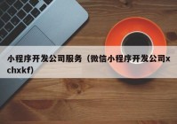 小程序开发公司服务（微信小程序开发公司xchxkf）