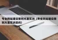 专业网站建设策划方案实训（专业网站建设策划方案实训目的）