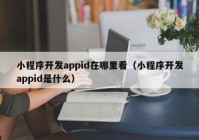 小程序开发appid在哪里看（小程序开发appid是什么）