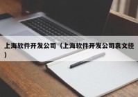 上海软件开发公司（上海软件开发公司袁文佳）