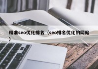 精准seo优化排名（seo排名优化的网站）