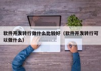 软件开发转行做什么比较好（软件开发转行可以做什么）