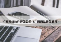 广西网络软件开发公司（广西网站开发软件）