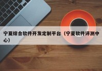 宁夏综合软件开发定制平台（宁夏软件评测中心）