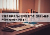 软件开发和微信小程序开发工作（微信小程序开发和app哪一个简单）