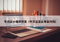 牛刀云小程序开发（牛刀云怎么导出代码）