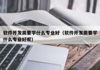 软件开发需要学什么专业好（软件开发需要学什么专业好呢）