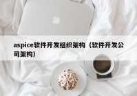 aspice软件开发组织架构（软件开发公司架构）