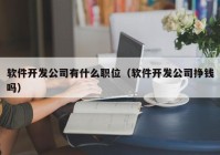 软件开发公司有什么职位（软件开发公司挣钱吗）