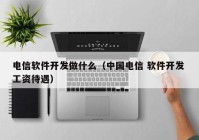 电信软件开发做什么（中国电信 软件开发 工资待遇）